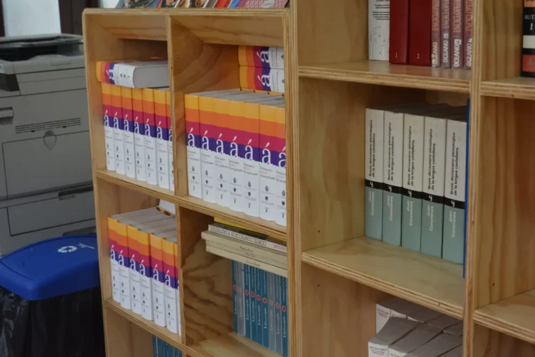 Infraestructura Colegio Bicentenario Politécnico San José de Curicó